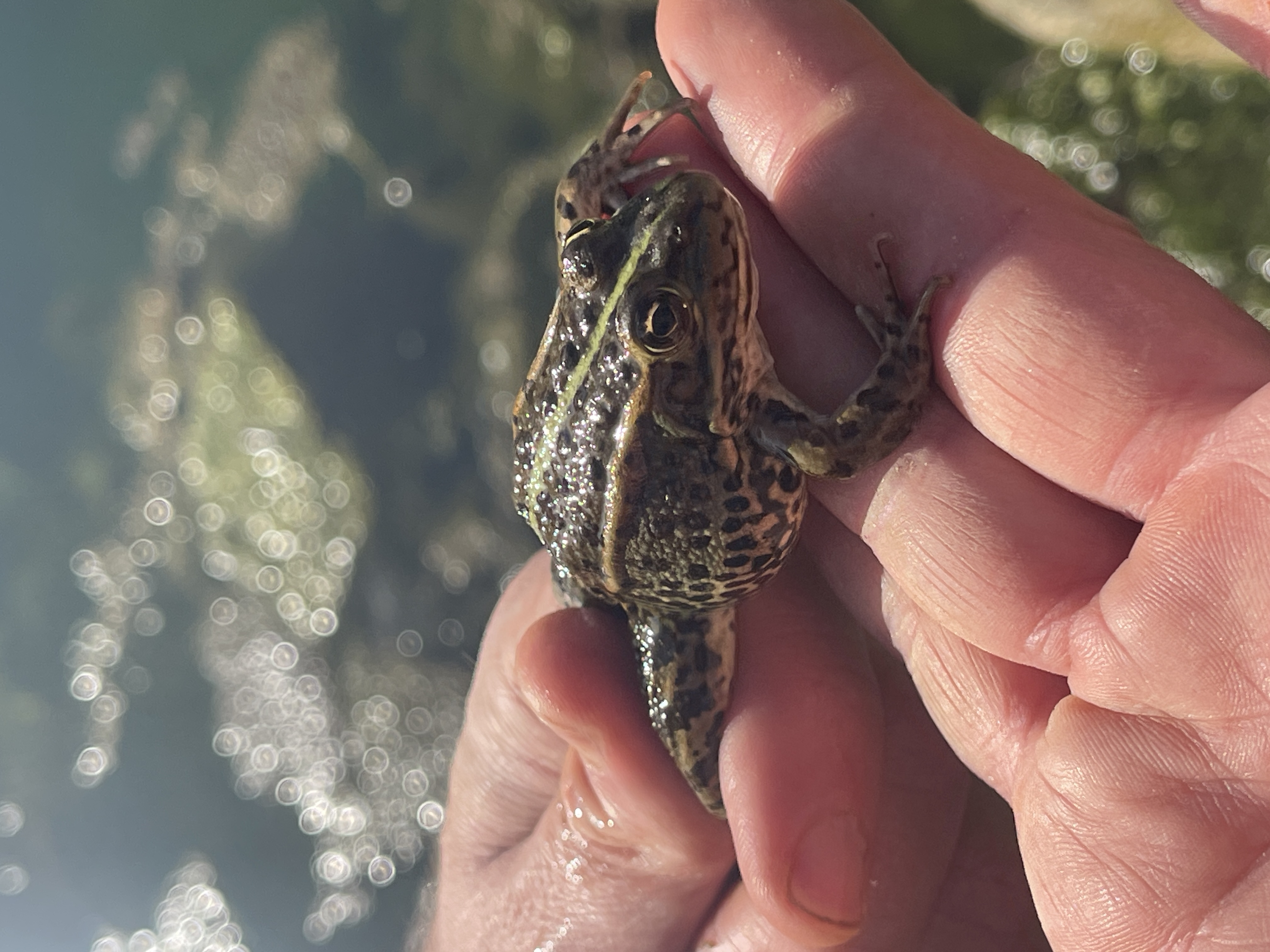 Sustentabilidade Ambiental