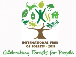 International-Year-of-Forests-2011-300x226